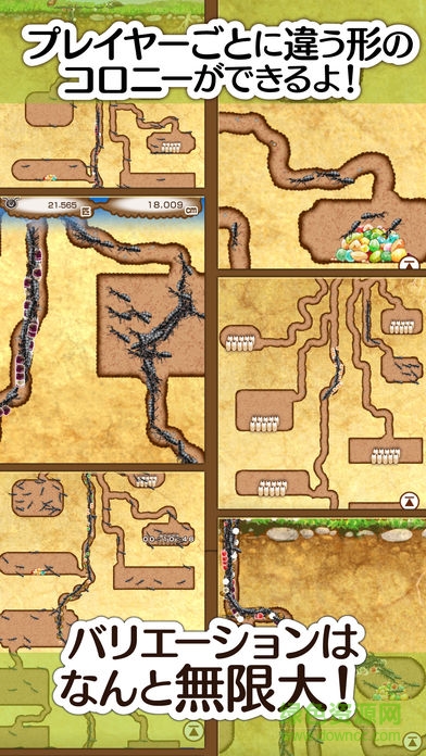 螞蟻的巢漢化版(アリの巣コロニー) v1.0.3 安卓版 0
