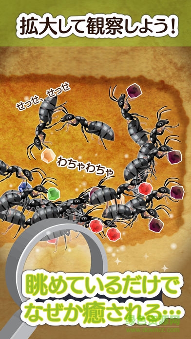 螞蟻的巢漢化版(アリの巣コロニー) v1.0.3 安卓版 2