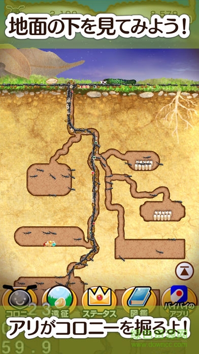 螞蟻的巢中文版