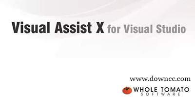 visual assist x安裝-visual assist x中文版下載-visual assist x漢化版
