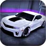 賽車(chē)漂移模擬器中文