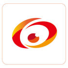 迪視尼監(jiān)控攝像頭軟件