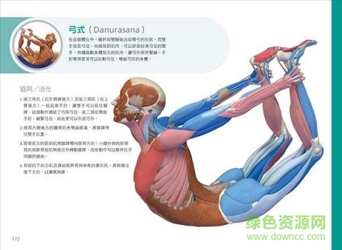 瑜伽3d解剖書 電子版