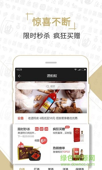 酒螞蟻手機版 v1.0.1109 安卓版 0