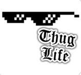 暴徒生活视频版