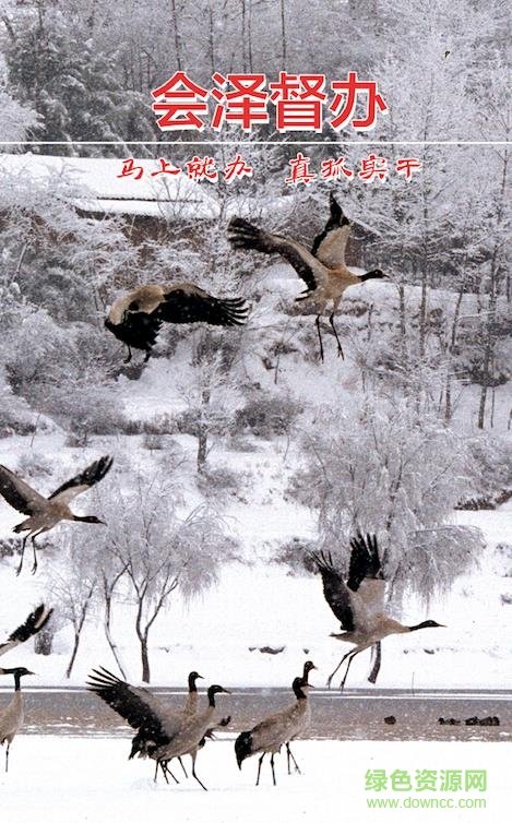 會澤督辦 v1.0.13.3 安卓版 0