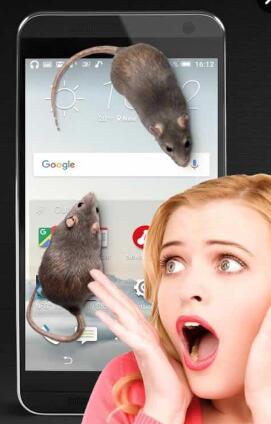 老鼠在屏幕上爬軟件app(大鼠在屏幕上) v1.4 安卓版 0