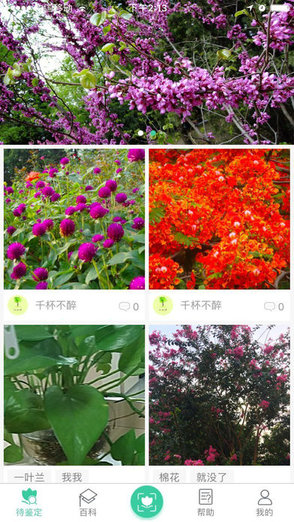 植物達(dá)人最新安卓版 v1.3 官方手機(jī)版 3