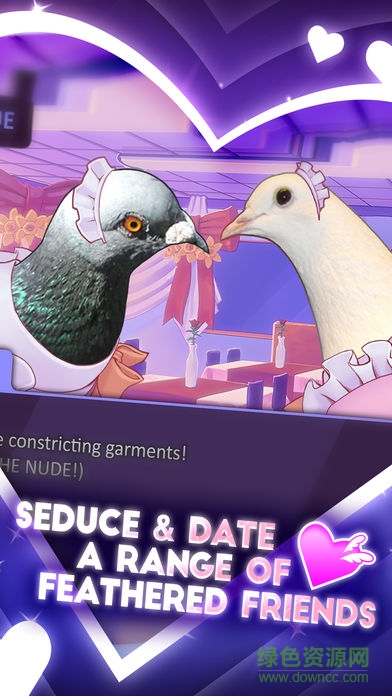 帅鸽男友汉化版 v1.0 安卓中文版0