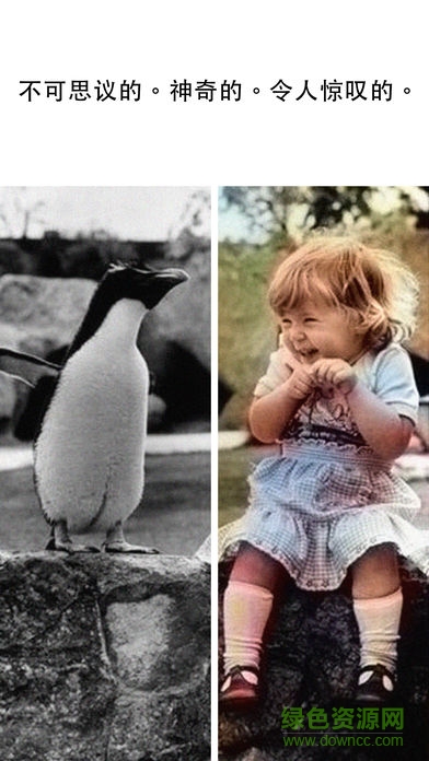 手機spectrum軟件apk(照片上色) v1.3 安卓版 3