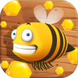 蜂窩拼圖bee nest puzzle