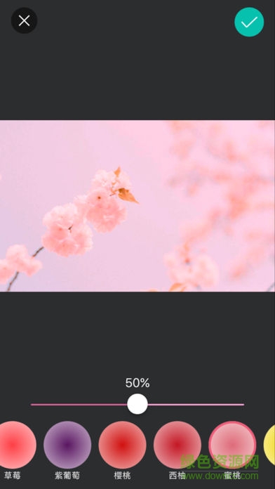 taco粉色相機app taco粉色相機app