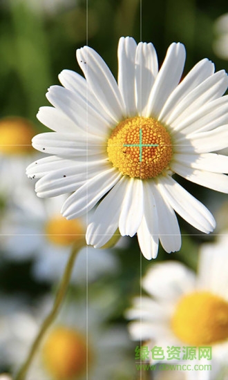 Cam 0.618相機(jī) v2.0 安卓版 2