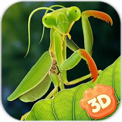 螳螂模擬器無(wú)限生命版