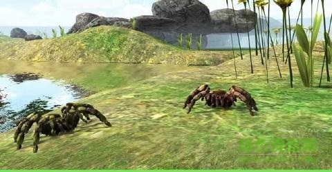 蜘蛛模擬器正式版 v1.2.0 安卓版 0