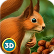 森林松鼠模擬器