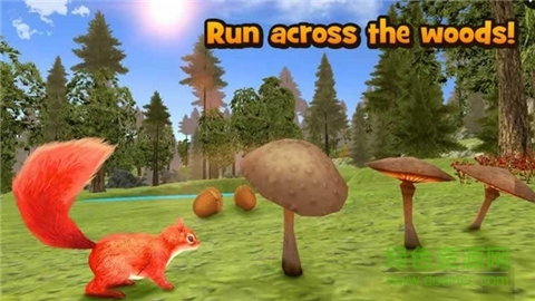 森林松鼠模擬器 v2.03 安卓版 1