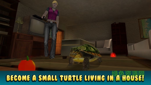 烏龜模擬器正式版 v1.0 安卓版 0