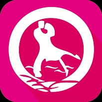 婚禮視頻制作軟件