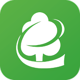 木材碼頭官方最新版