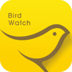 小鳥觀映手機版