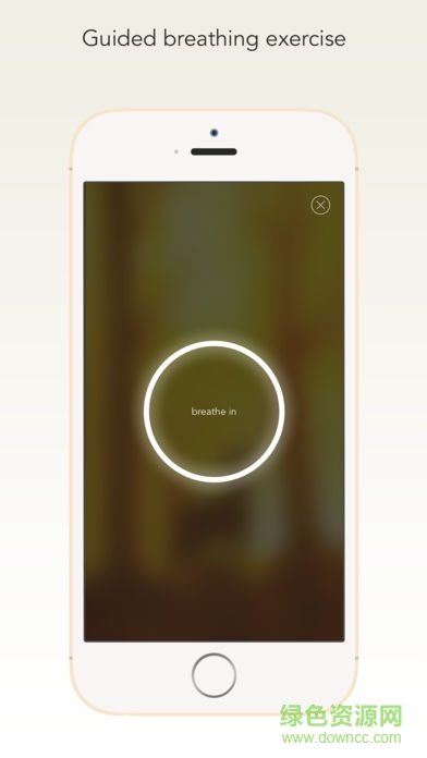 wildfulness2軟件下載