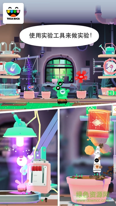 淘卡寶卡實(shí)驗(yàn)室植物