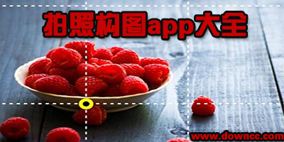 什么app拍照帶構(gòu)圖輔助線?有構(gòu)圖線的相機(jī)軟件-教你拍照構(gòu)圖的app