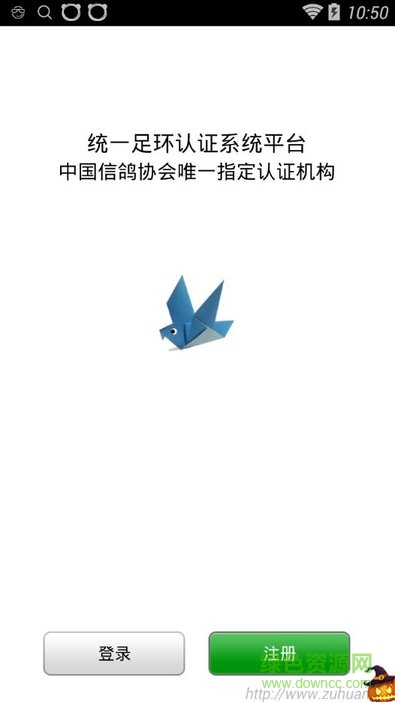 信鴿足環(huán)查詢軟件