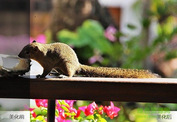 聯(lián)想照片大師