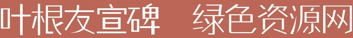 葉根友宣碑字體