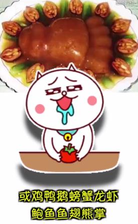 舌尖上的胖胖歌曲