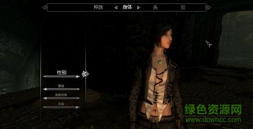 上古卷軸5人物美化mod整合包