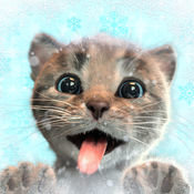 小貓大冒險蘋果版