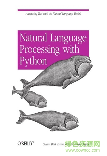 python自然語(yǔ)言處理 中文版  0
