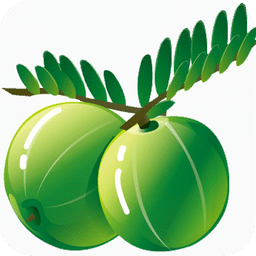 生酮配餐助手手機版