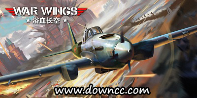 浴血長(zhǎng)空