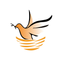 覓余手機(jī)版