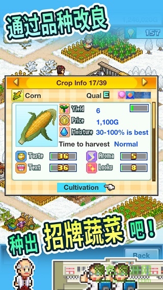 晴空農(nóng)場(chǎng)物語漢化版