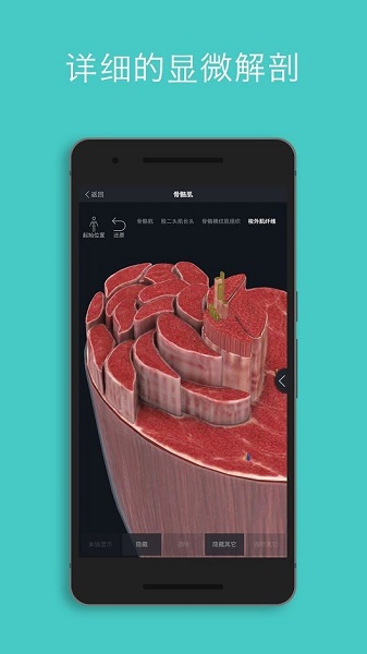 3d4medical安卓版下載 3d4medical中文版下載