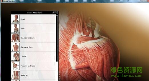 visible body中文版pc2018版 v3.1.3 桌面最新版 0