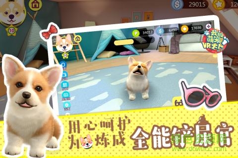 萌寵大人vr下載