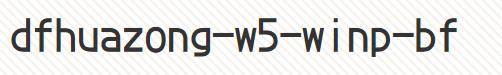 dfhuazong-w5-winp-bf