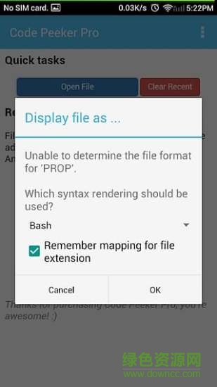 code peeker lite中文版 v1.99 安卓漢化版 0