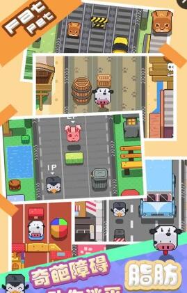 萌寵跑步機(jī)