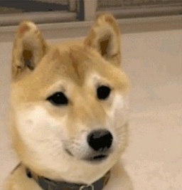 神煩狗跳舞表情包動圖