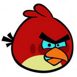 小鳥(niǎo)p圖(小鳥(niǎo)pt)