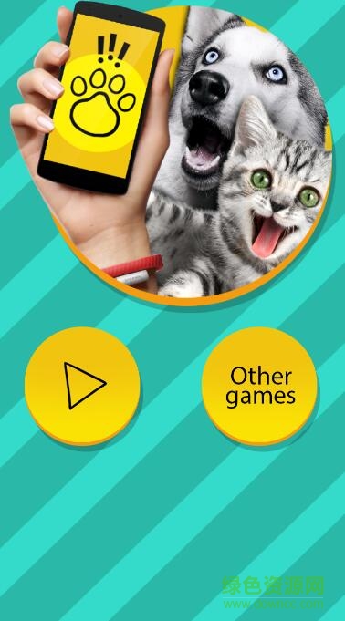 pettranslator中文版