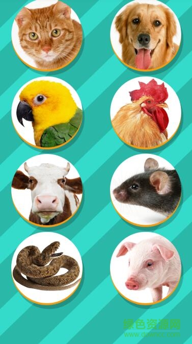 動(dòng)物語言交流器pet translator v1.1 安卓版 0