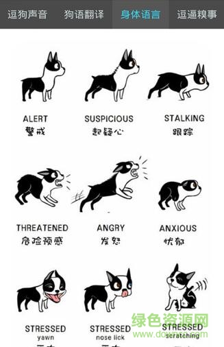 人汪交流器軟件app(狗狗助手) v1.4 安卓中文版 2